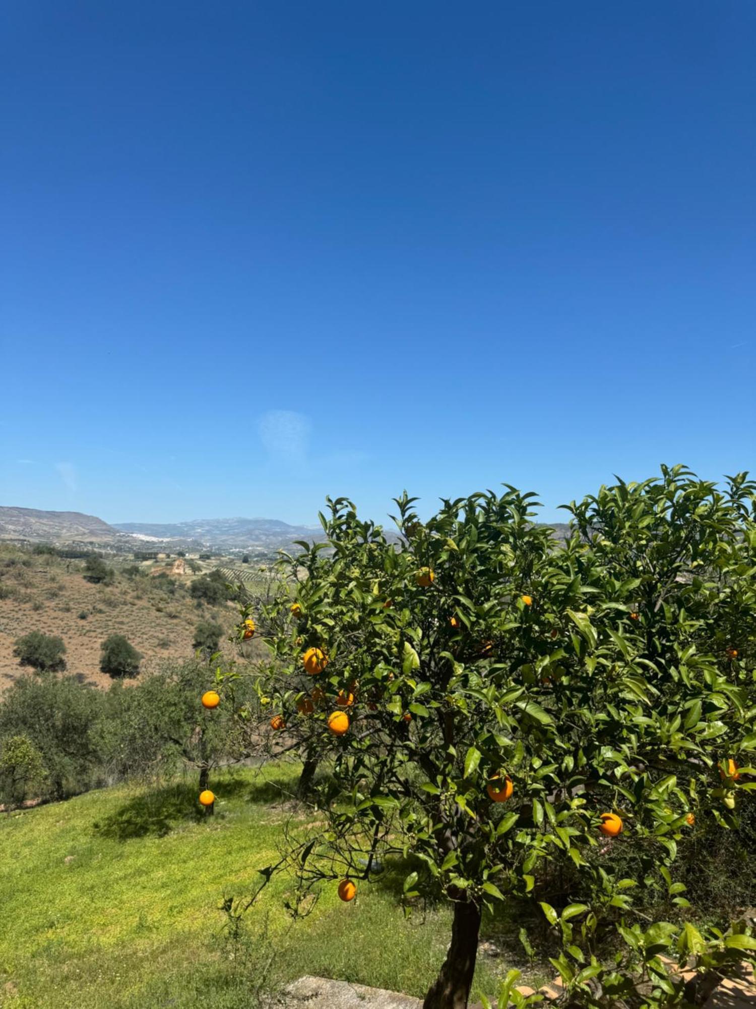 Santa Teresa Bed & Breakfast Andalusien Pizarra Exterior foto
