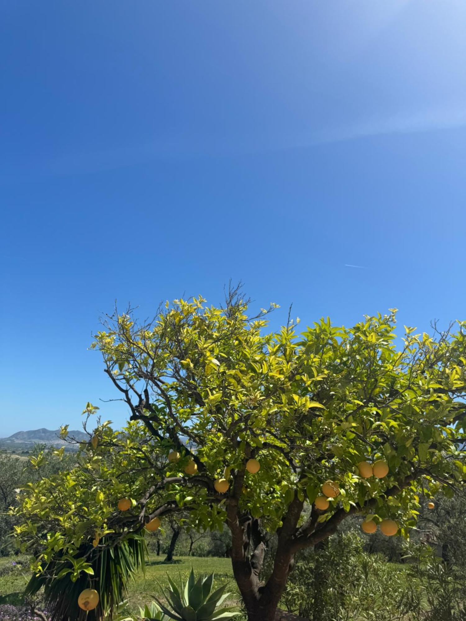 Santa Teresa Bed & Breakfast Andalusien Pizarra Exterior foto